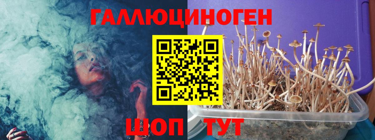 Новотроицк  Псилоцибиновые грибы мухоморы  Вход с VPN 
